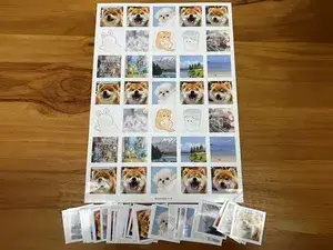 Фотографии, открытки и коллекционные карточки