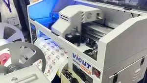 Рулонный УФ-принтер для печати этикеток ViPrint UV300
